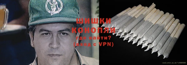 spice Алексин